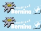 Preview: Ge 4/4 III 641 Maienfeld, "Bernina Express - Heidiland", Aufkleber und Decalset